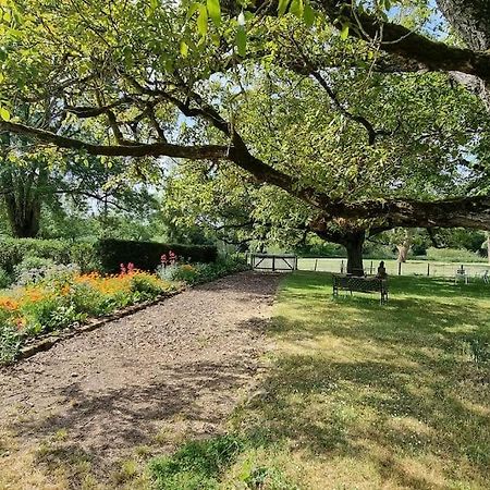 Les Noyers Monestois Entre Cher Et Canal De Berry Mennetou-sur-Cher Kültér fotó