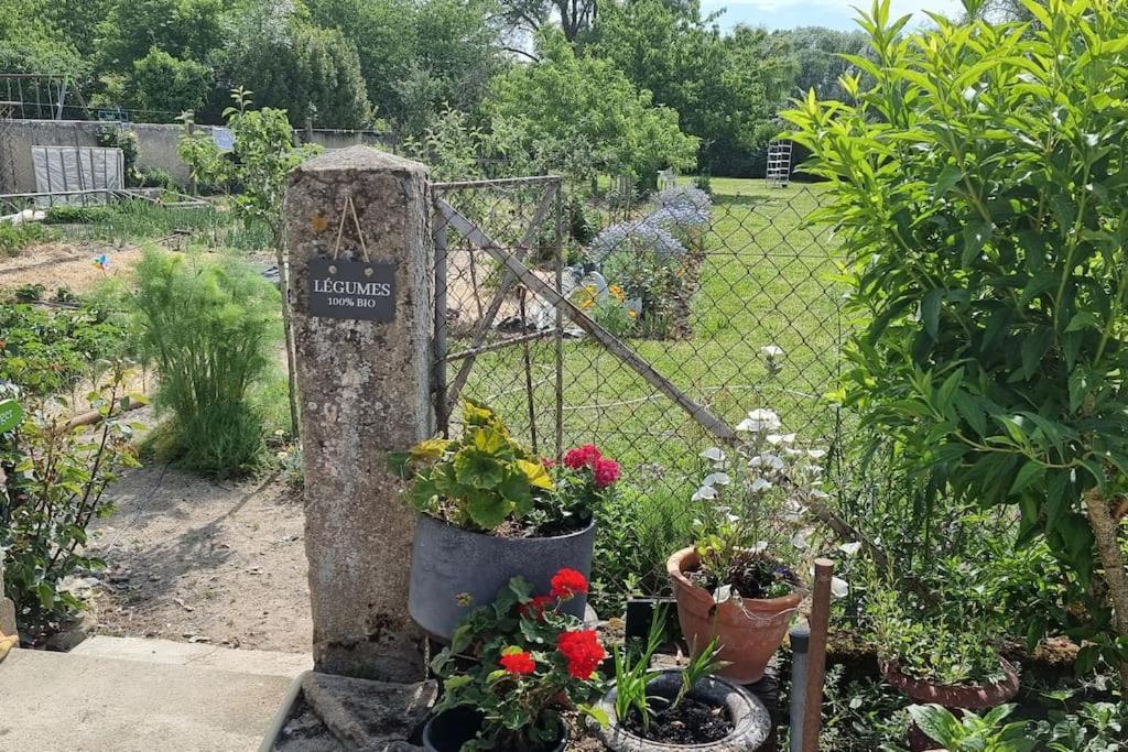 Les Noyers Monestois Entre Cher Et Canal De Berry Mennetou-sur-Cher Kültér fotó